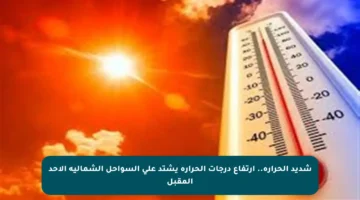 شديد الحرارة.. ارتفاع درجات الحرارة يشتد على السواحل الشمالية الأحد المقبل